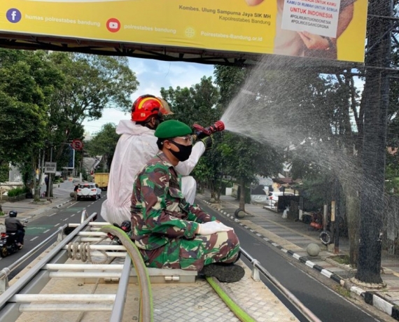 200703141405-rutin.jpg