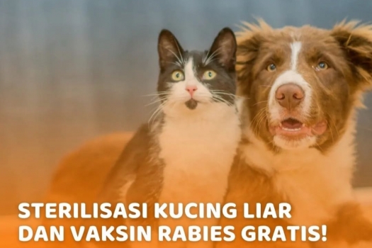 240313091002-grati.jpeg